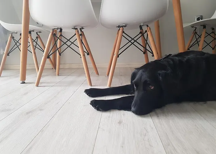 Appartement ~ The Blue ~ 1bd Flat Near Asparuhovo Sea Garden