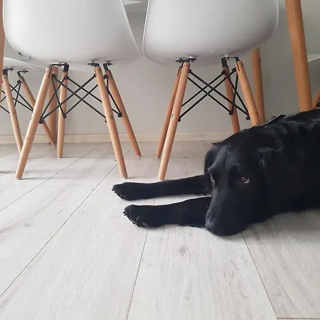 Apartment ~ The Blue ~ 1bd Flat Near Asparuhovo Sea Garden